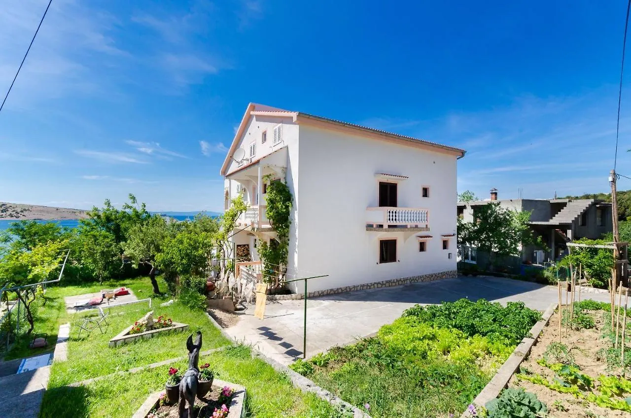 Apartments Albina Lopar